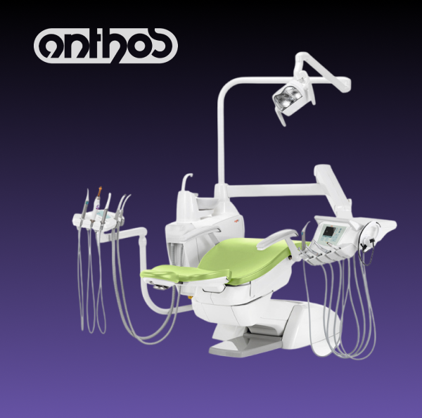 Интересные факты о бренде Anthos